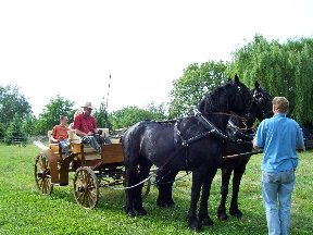 Foto zum Vergrößern bitte anklicken!