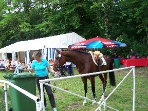 Foto zum Vergrößern bitte anklicken!