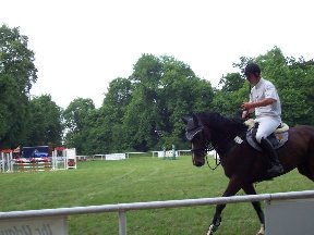 Foto zum Vergrößern bitte anklicken!