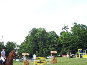 Foto zum Vergrößern bitte anklicken!