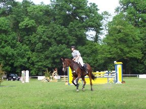 Foto zum Vergrößern bitte anklicken!