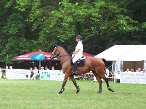 Foto zum Vergrößern bitte anklicken!