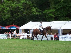 Foto zum Vergrößern bitte anklicken!