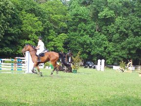 Foto zum Vergrößern bitte anklicken!