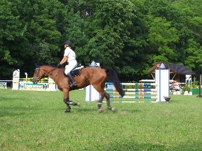 Foto zum Vergrößern bitte anklicken!
