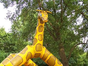 Foto zum Vergrößern bitte anklicken!