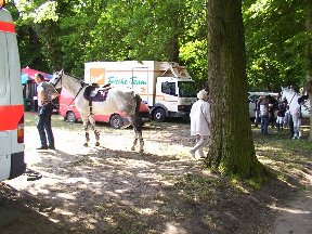 Foto zum Vergrößern bitte anklicken!