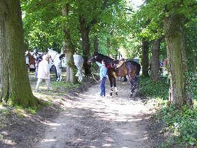 Foto zum Vergrößern bitte anklicken!