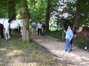 Foto zum Vergrößern bitte anklicken!