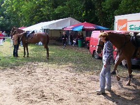 Foto zum Vergrößern bitte anklicken!