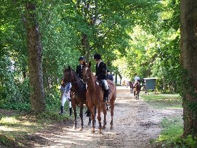 Foto zum Vergrößern bitte anklicken!