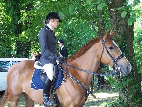 Foto zum Vergrößern bitte anklicken!