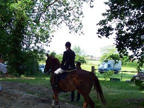 Foto zum Vergrößern bitte anklicken!