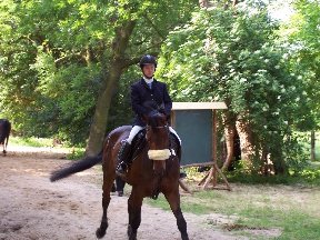 Foto zum Vergrößern bitte anklicken!