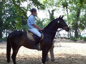 Foto zum Vergrößern bitte anklicken!
