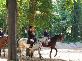 Foto zum Vergrößern bitte anklicken!