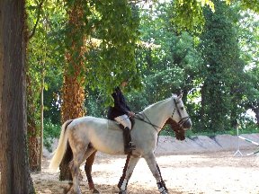 Foto zum Vergrößern bitte anklicken!