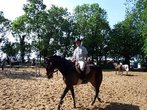 Foto zum Vergrößern bitte anklicken!