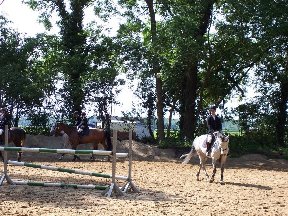 Foto zum Vergrößern bitte anklicken!