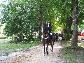 Foto zum Vergrößern bitte anklicken!