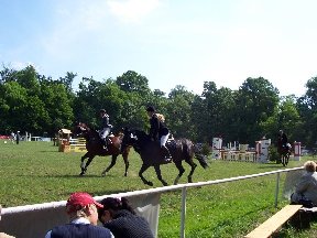 Foto zum Vergrößern bitte anklicken!
