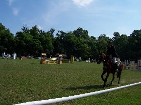 Foto zum Vergrößern bitte anklicken!