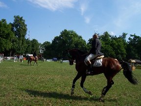 Foto zum Vergrößern bitte anklicken!