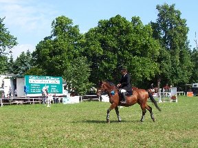 Foto zum Vergrößern bitte anklicken!