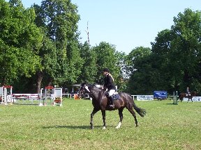 Foto zum Vergrößern bitte anklicken!