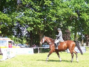 Foto zum Vergrößern bitte anklicken!