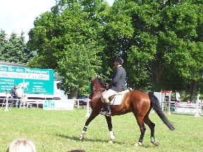Foto zum Vergrößern bitte anklicken!