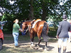 Foto zum Vergrößern bitte anklicken!