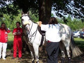Foto zum Vergrößern bitte anklicken!