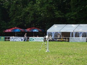 Foto zum Vergrößern bitte anklicken!