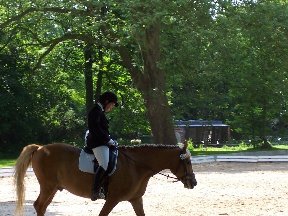 Foto zum Vergrößern bitte anklicken!