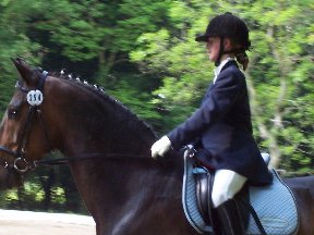 Foto zum Vergrößern bitte anklicken!