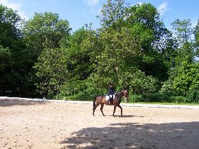 Foto zum Vergrößern bitte anklicken!