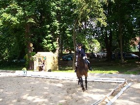 Foto zum Vergrößern bitte anklicken!