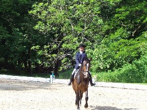 Foto zum Vergrößern bitte anklicken!