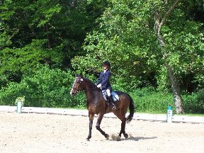 Foto zum Vergrößern bitte anklicken!
