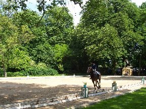 Foto zum Vergrößern bitte anklicken!