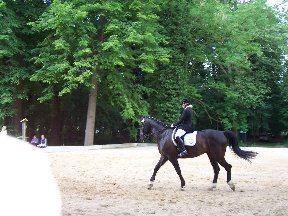 Foto zum Vergrößern bitte anklicken!