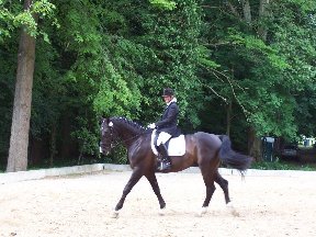 Foto zum Vergrößern bitte anklicken!