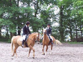 Foto zum Vergrößern bitte anklicken!