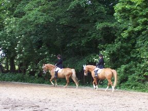 Foto zum Vergrößern bitte anklicken!
