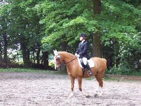 Foto zum Vergrößern bitte anklicken!