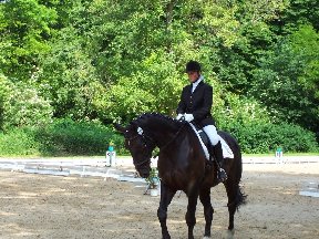 Foto zum Vergrößern bitte anklicken!