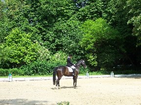 Foto zum Vergrößern bitte anklicken!