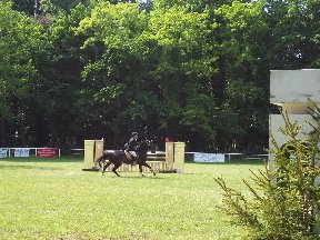 Foto zum Vergrößern bitte anklicken!