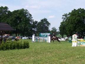 Foto zum Vergrößern bitte anklicken!